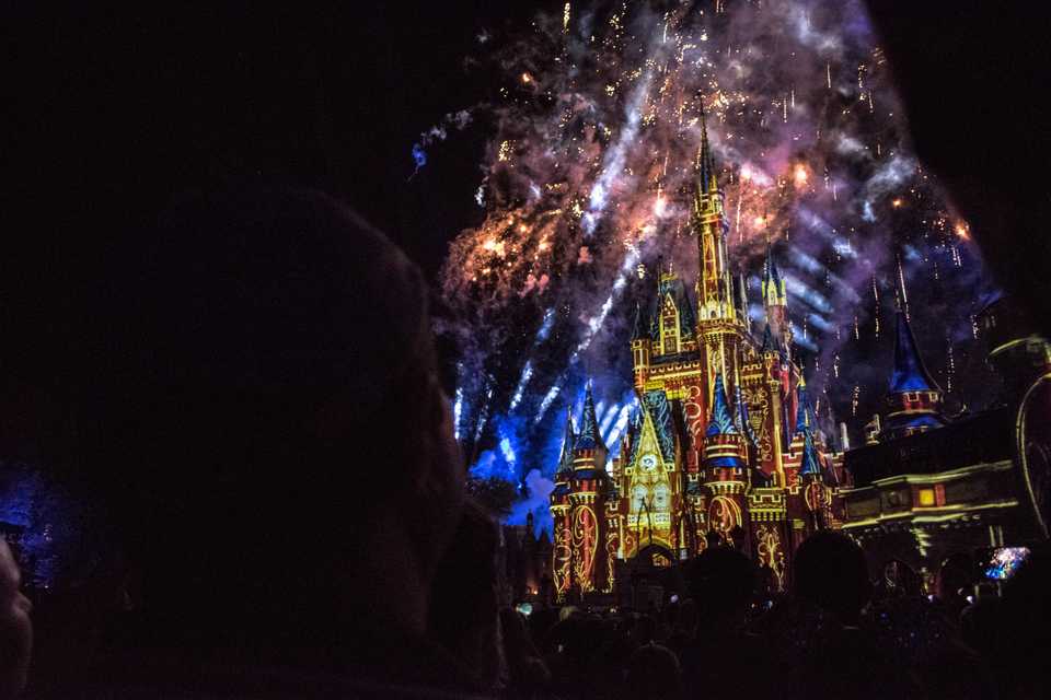 DisneyFireworks3